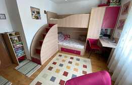 Apartament 3 camere Pictor Brana