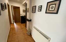 Apartament 3 camere Pictor Brana