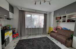 Apartament 2 camere, 48 mp, Terezian