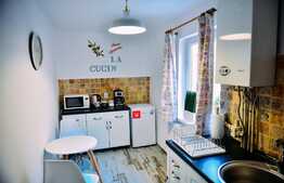 Apartament 1 cameră, 38 mp utili, ULTRACENTRAL