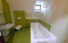 Curte cu 2 case de vânzare în Sibiu zona Calea Poplăcii