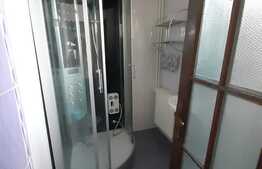 Curte cu 2 case de vânzare în Sibiu zona Calea Poplăcii