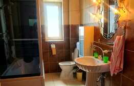 Casă individuală în Cisnădie, 233 mp utili, 800 mp curte