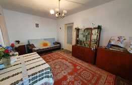 Apartament de 2 camere, 46 mp utili, Ciresica