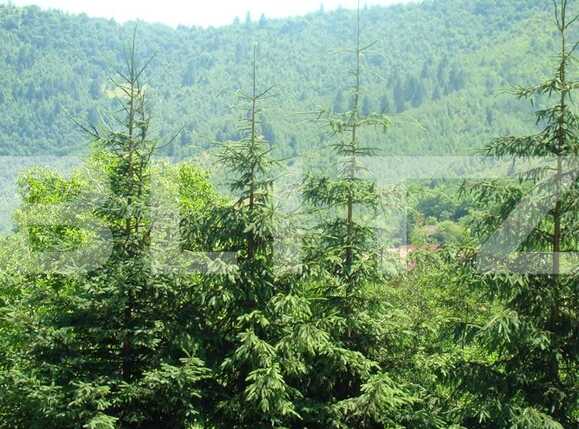 Teren de vânzare Exterior Vest - 66765TV | BLITZ Sibiu | Poza1