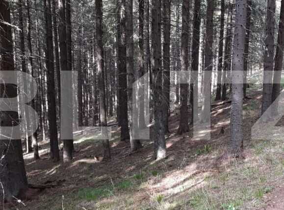 Teren de vânzare Exterior Vest - 66765TV | BLITZ Sibiu | Poza2