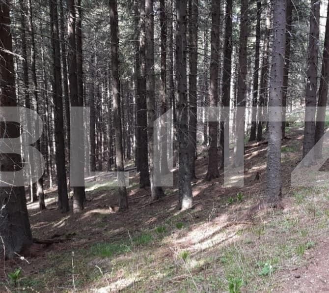 Teren de vânzare Exterior Vest - 66765TV | BLITZ Sibiu | Poza2