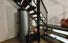 Vila cu cinci apartamente, afacere la cheie!