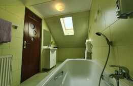 Vila cu cinci apartamente, afacere la cheie!