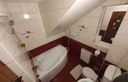 Vila cu cinci apartamente, afacere la cheie!