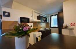 Vila cu cinci apartamente, afacere la cheie!