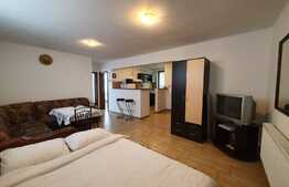 Vila cu cinci apartamente, afacere la cheie!