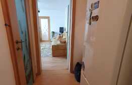 Apartament 2 camere, 40 mp, Cedonia