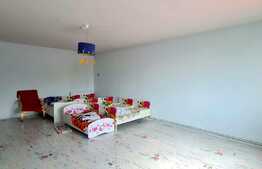 Casă individuală în zona Piața Cluj, 310 mp utili!