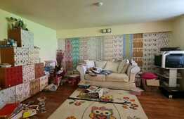 Casă individuală în zona Piața Cluj, 310 mp utili!