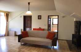 Apartament 3 camere la casa foarte spatios