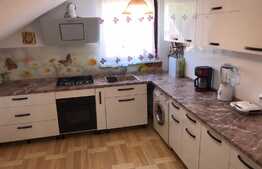 Apartament 3 camere la casa foarte spatios