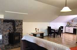 Apartament 3 camere la casa foarte spatios