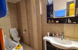 Apartament de 3 camere la mansarda, in zona Terezian