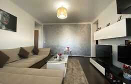 Apartament de 2 camere, 43 mp, in Selimbar 