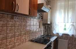Apartament renovat, 2 camere, 40.6 mp, zona Profi!