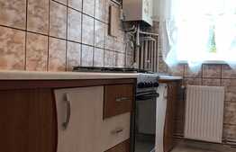 Apartament renovat, 2 camere, 40.6 mp, zona Profi!