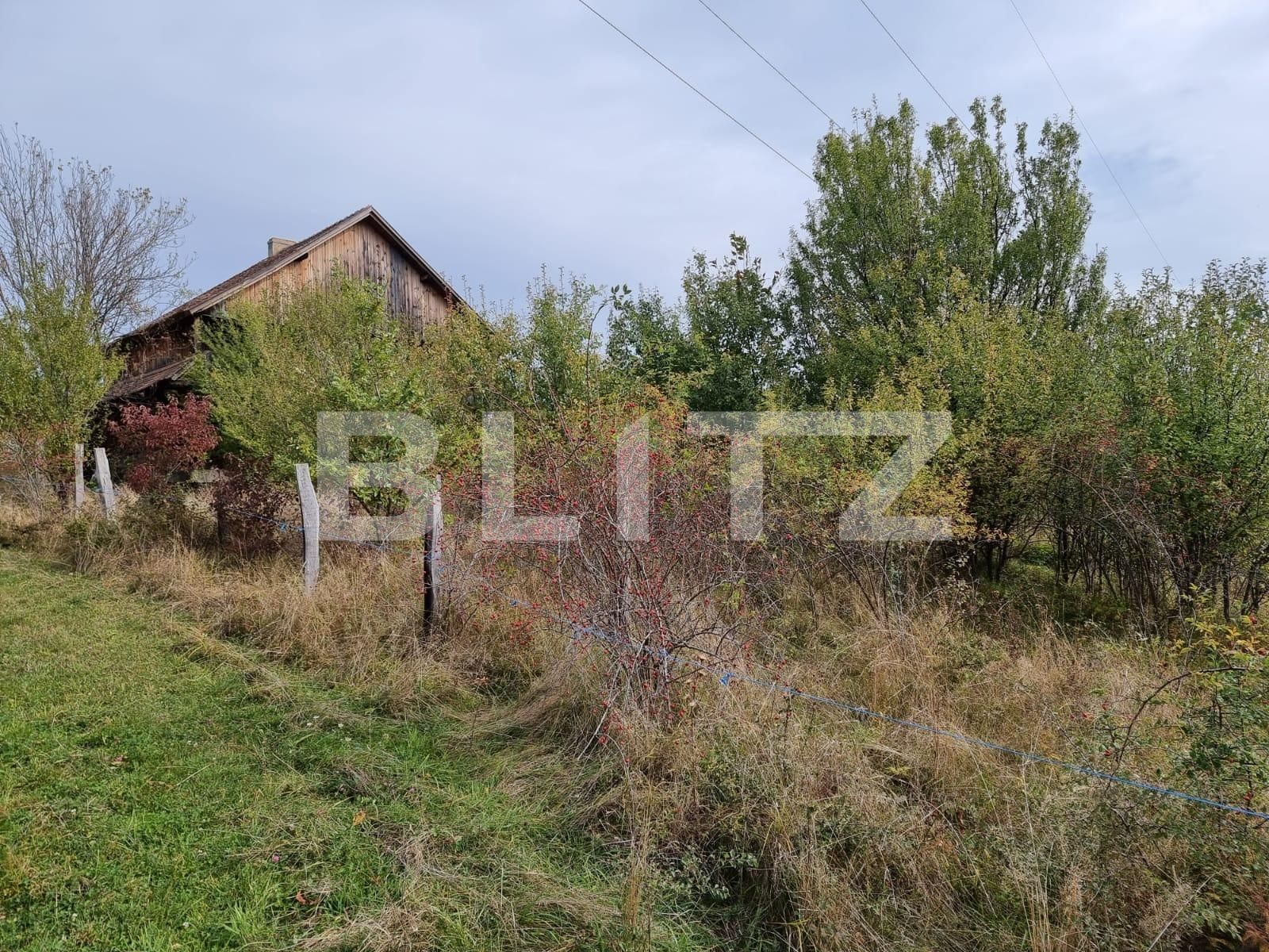 Casa de vânzare 5 camere Sud Vest - 67433CV | BLITZ Sibiu | Poza13