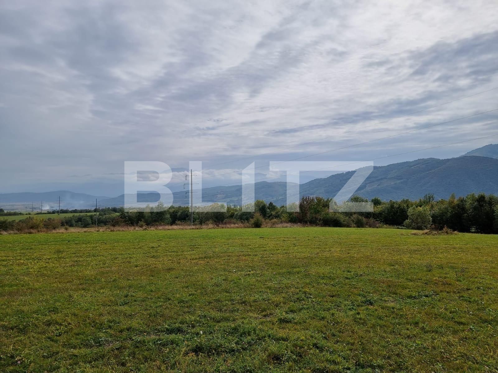 Casa de vânzare 5 camere Sud Vest - 67433CV | BLITZ Sibiu | Poza11