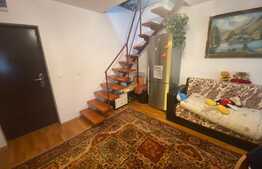 Apartament de 2 camere, 41 mp, mobilat, Broscarie