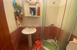 Apartament de 2 camere, 41 mp, mobilat, Broscarie