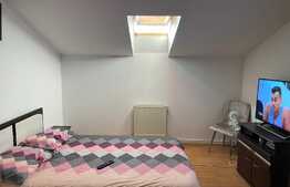 Mansarda de 2 camere, 50 mp, mobilata, zona Libertatea