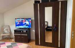 Mansarda de 2 camere, 50 mp, mobilata, zona Libertatea