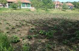 Terenuri De Vanzare In Sibiu Vanzari Terenuri Blitz