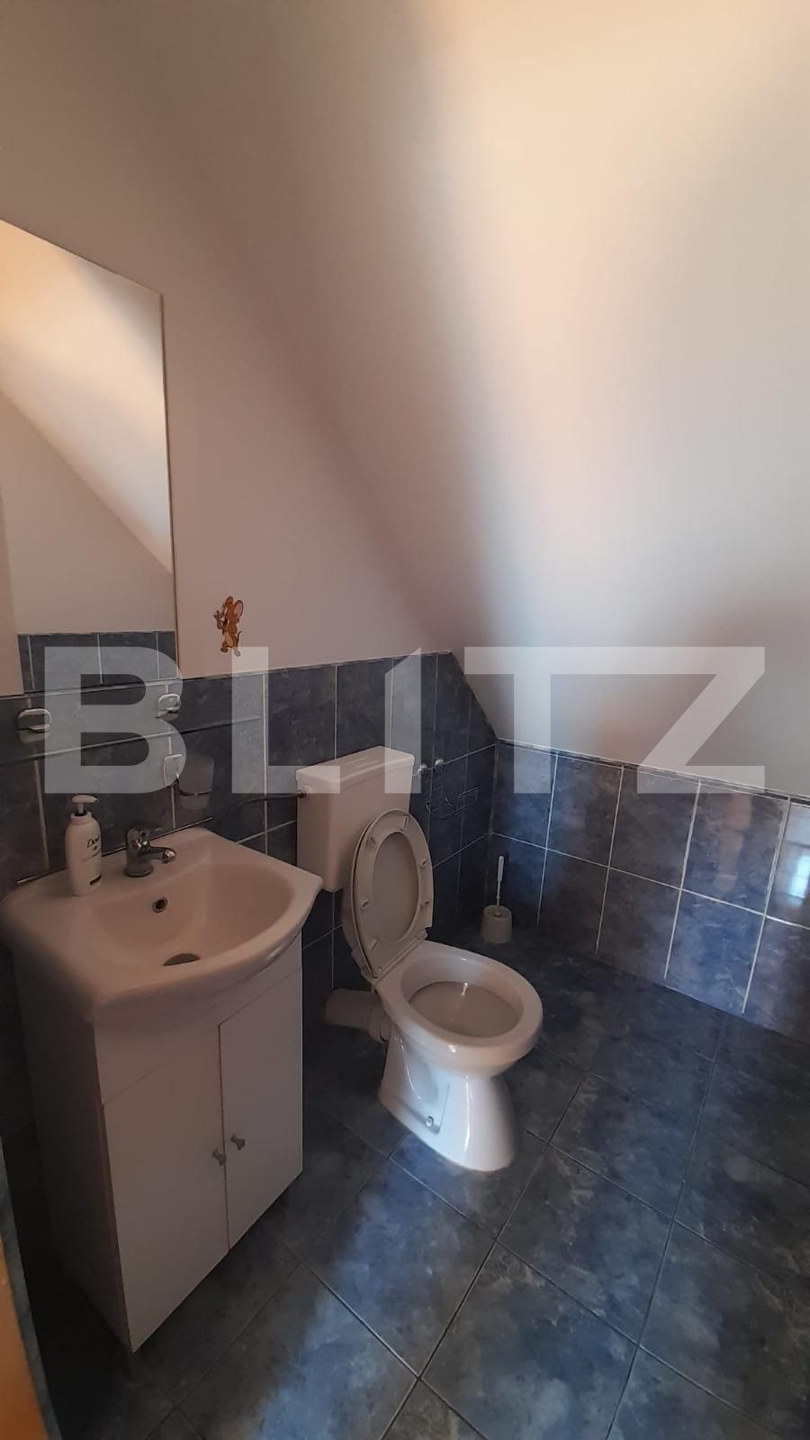 Apartament de închiriat 3 camere Hipodrom 4 - 67944AI | BLITZ Sibiu | Poza8