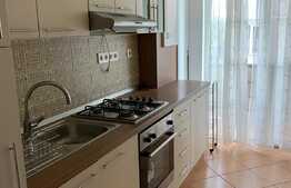 Apartament de 2 camere, 58,6 mp in Vasile Aron
