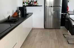 Penthouse 3 camere, 102 mp, zona Doamna Stanca