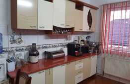 Casă individuală 8 camere, 570 mp pretabila pensiune sau restaurant, zona Centrală