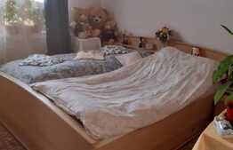 Casă individuală 8 camere, 570 mp pretabila pensiune sau restaurant, zona Centrală