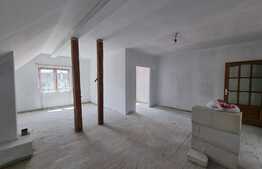 Casă 10 camere, 1000 mp tere, centrul Cristianului