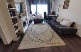 Apartament de 3 camere pe Doamna Stanca