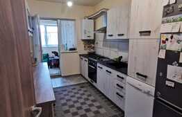 Apartament de 3 camere pe Doamna Stanca