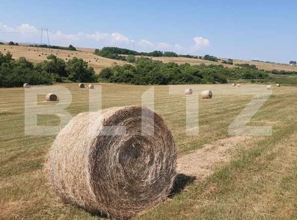 Teren de vânzare Exterior Est - 68903TV | BLITZ Sibiu | Poza1