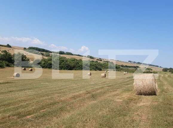 Teren de vânzare Exterior Est - 68903TV | BLITZ Sibiu | Poza2