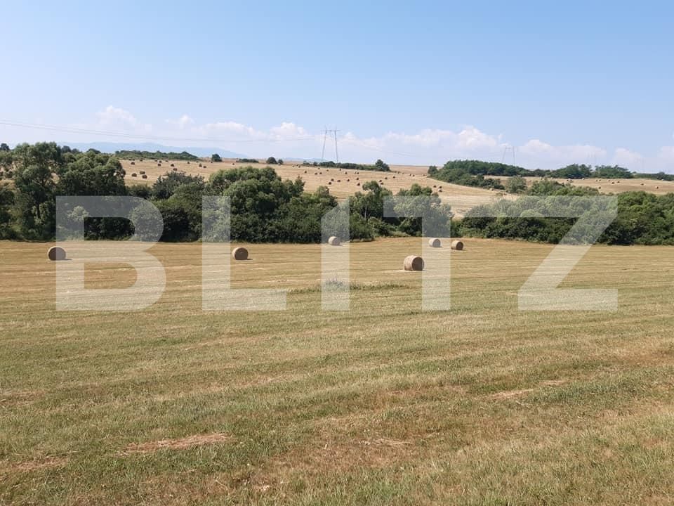 Teren de vânzare Exterior Est - 68903TV | BLITZ Sibiu | Poza3