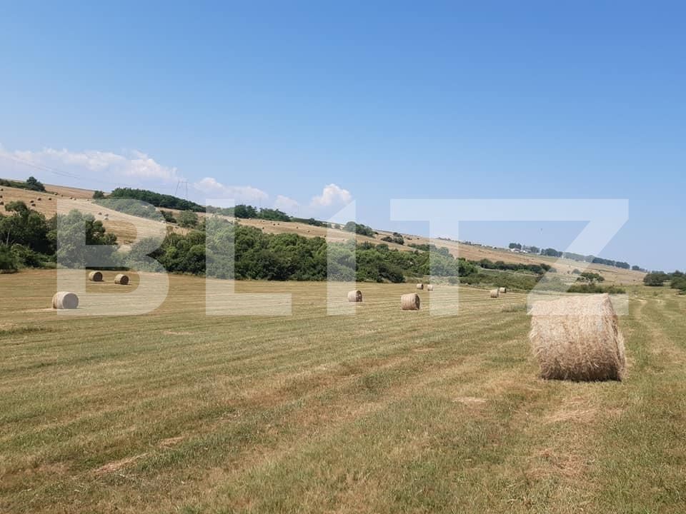 Teren de vânzare Exterior Est - 68903TV | BLITZ Sibiu | Poza2