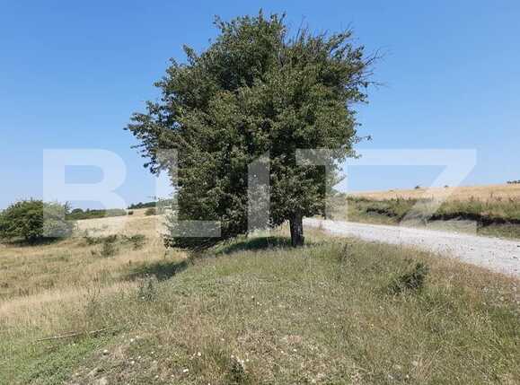 Teren de vânzare Exterior Est - 68904TV | BLITZ Sibiu | Poza1