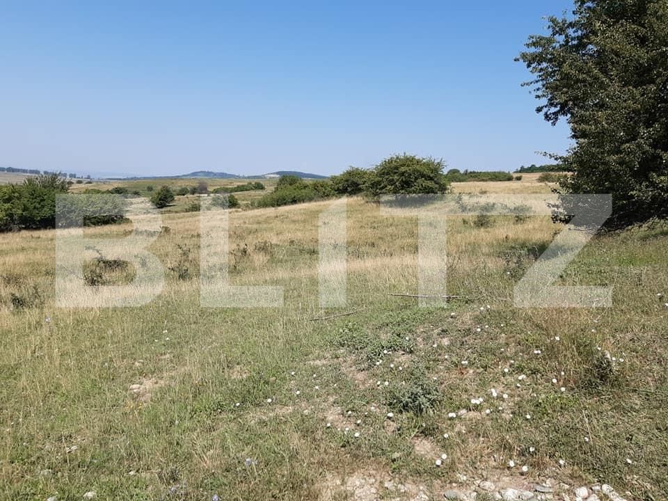 Teren de vânzare Exterior Est - 68904TV | BLITZ Sibiu | Poza3