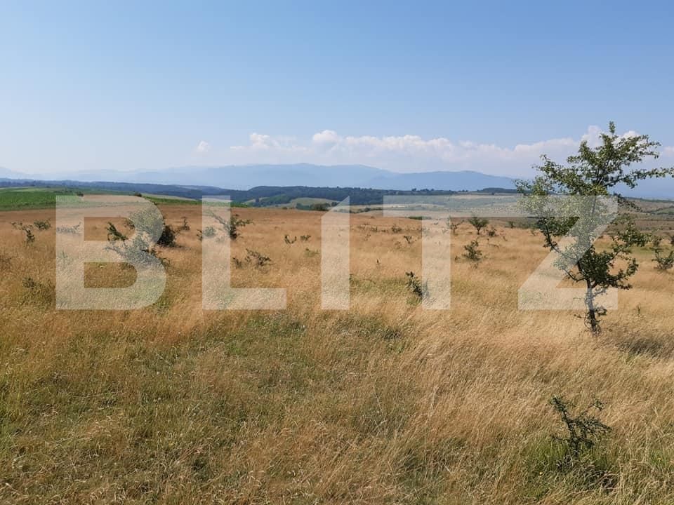 Teren de vânzare Exterior Est - 68904TV | BLITZ Sibiu | Poza4