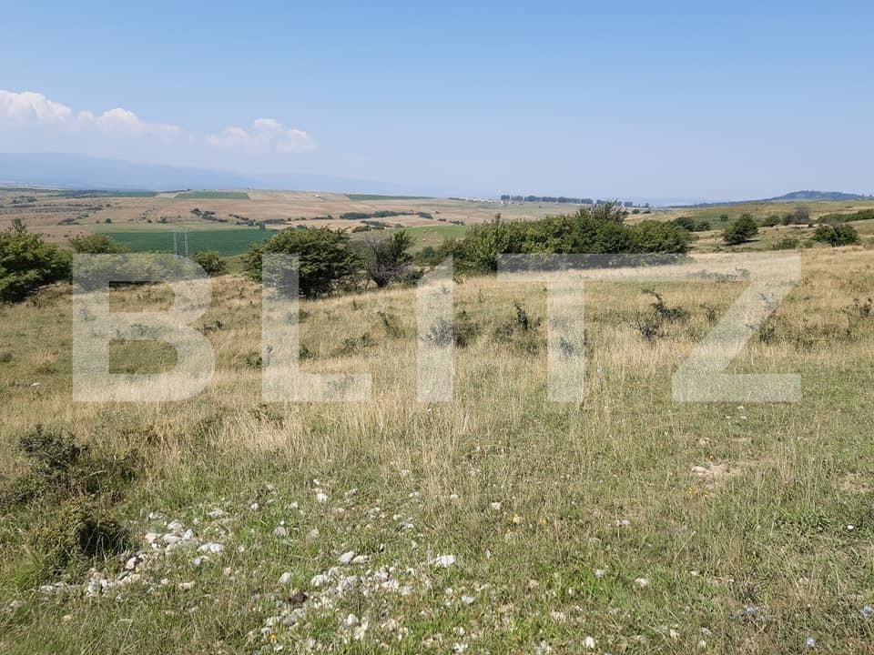 Teren de vânzare Exterior Est - 68904TV | BLITZ Sibiu | Poza2