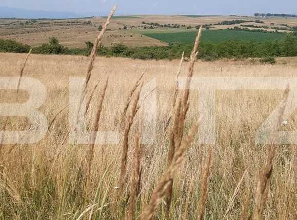 Teren de vânzare Exterior Est - 68905TV | BLITZ Sibiu | Poza3